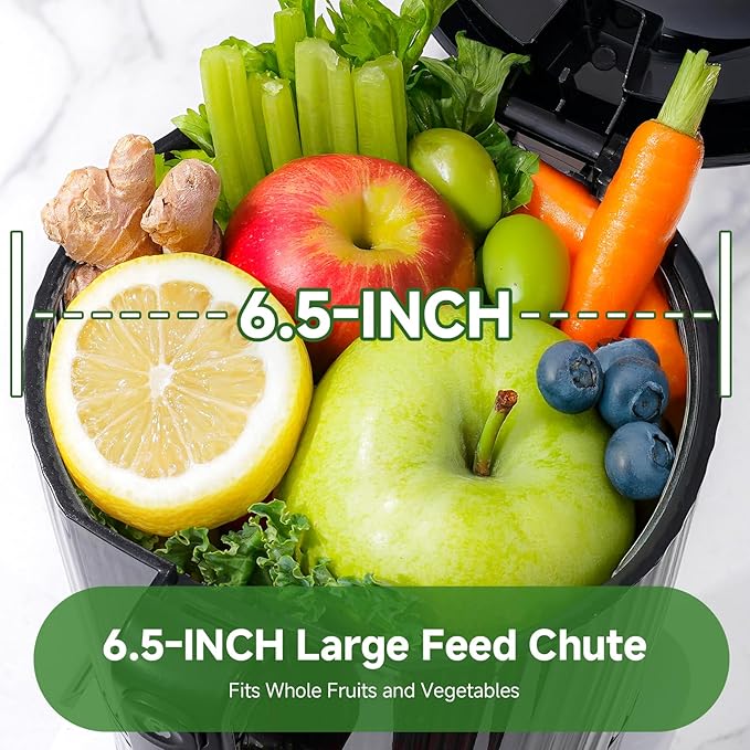 Cold Press Juicer with 6.5" Large Feed Chute | Hands-free Cut Fruite