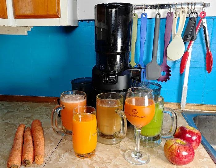Review of the AMZCHEF Self-Feeding Masticating Juicer