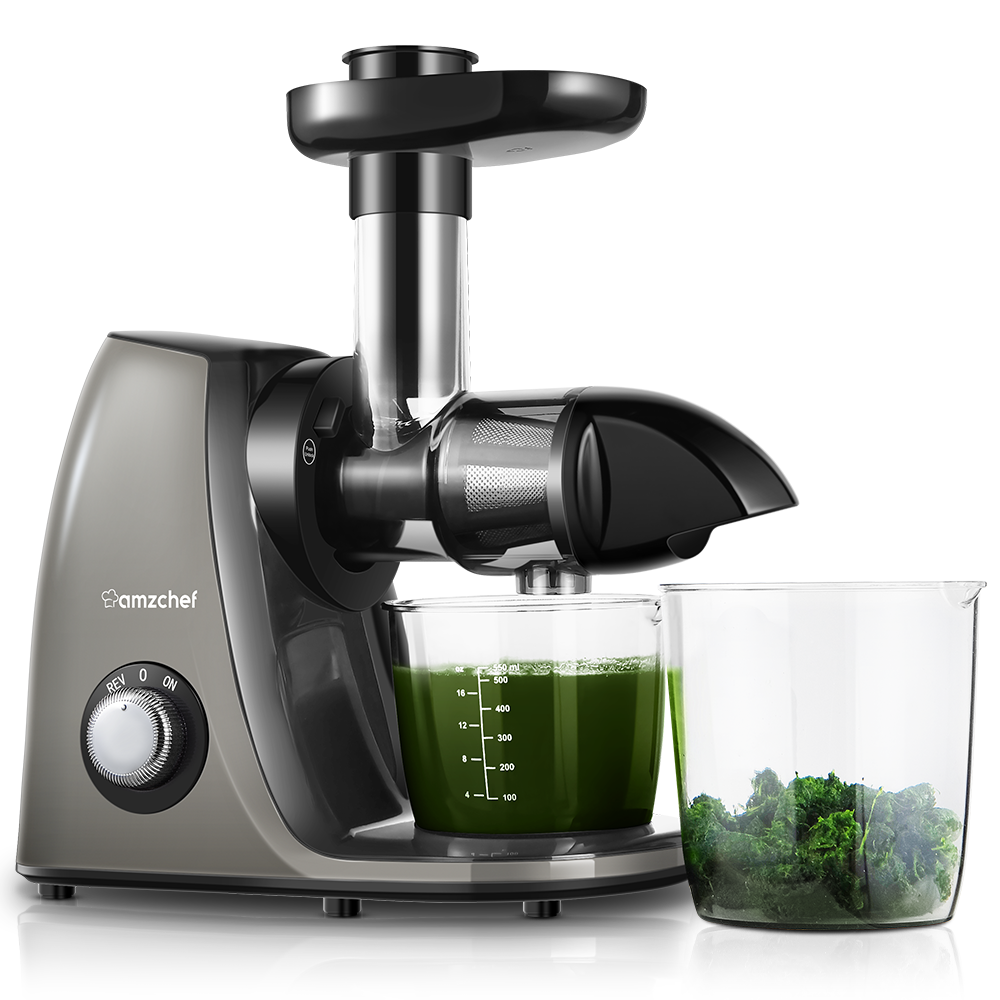 AMZCHEF Slow Juicer JS3005 Gray