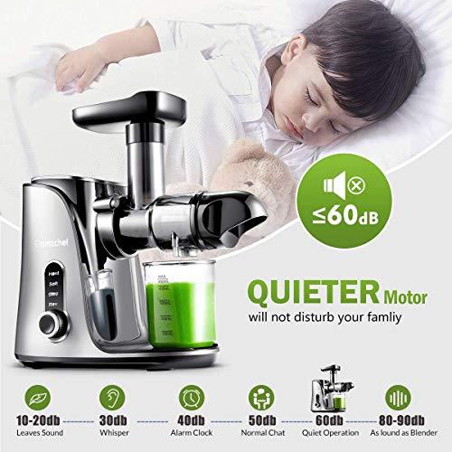 AMZCHEF Slow Masticating Juicer Extractor, Cold Press Juicer with Two Speed Modes, 2 Travel bottles(500ML),LED display, Easy to Clean Brush & Quiet Motor for Vegetables&Fruits,Gray