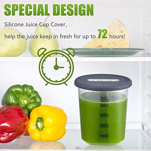 AMZCHEF Slow Masticating Juicer Extractor, Cold Press Juicer with Two Speed Modes, 2 Travel bottles(500ML),LED display, Easy to Clean Brush & Quiet Motor for Vegetables&Fruits,Gray