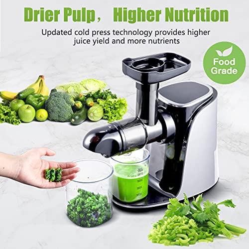 AMZCHEF Slow Masticating Juicer Extractor, Cold Press Juicer with Two Speed Modes, 2 Travel bottles(500ML),LED display, Easy to Clean Brush & Quiet Motor for Vegetables&Fruits,Gray