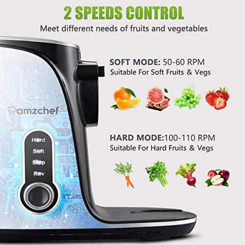AMZCHEF Slow Masticating Juicer Extractor, Cold Press Juicer with Two Speed Modes, 2 Travel bottles(500ML),LED display, Easy to Clean Brush & Quiet Motor for Vegetables&Fruits,Gray