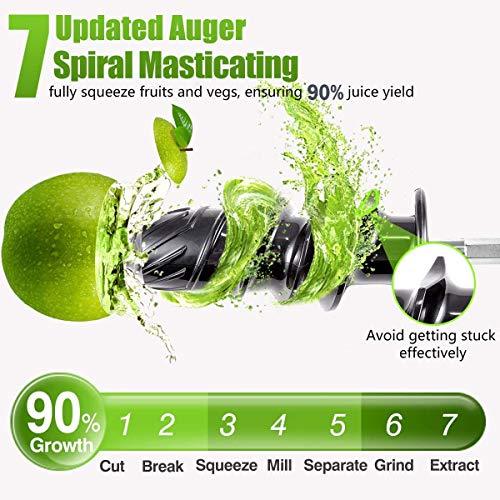 AMZCHEF Slow Masticating Juicer Extractor, Cold Press Juicer with Two Speed Modes, 2 Travel bottles(500ML),LED display, Easy to Clean Brush & Quiet Motor for Vegetables&Fruits,Gray
